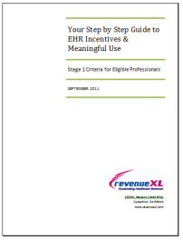 Free EHR Incentives Guide resized 202