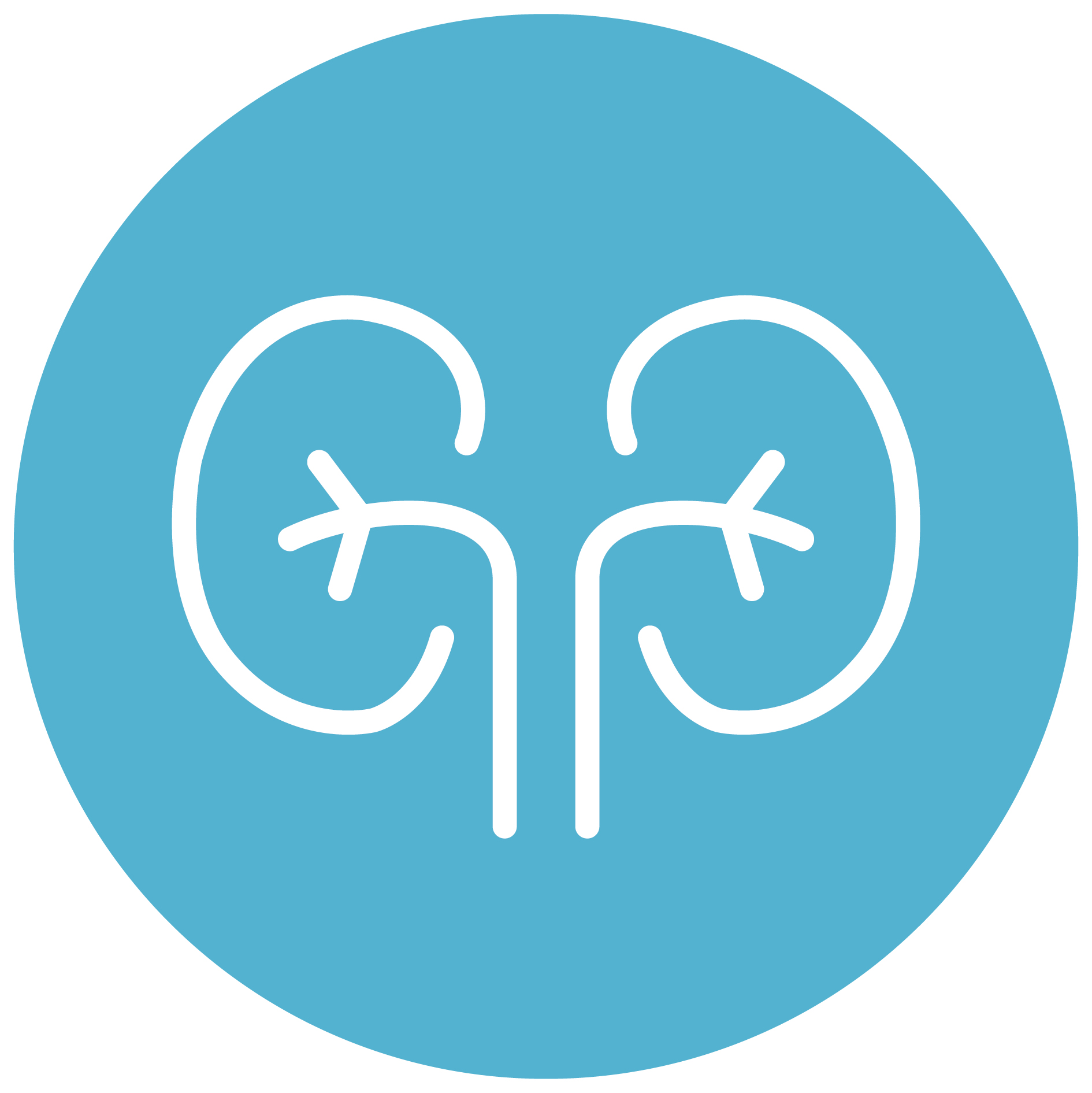 Nephrology EHR